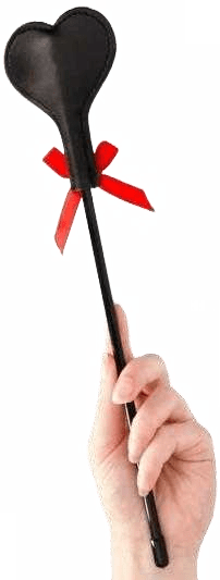 FUETE DE PIEL