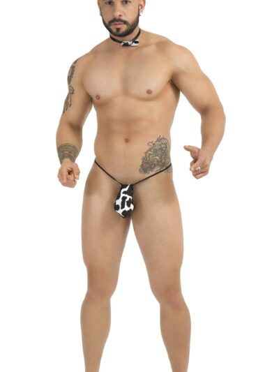 TA18 – TANGA DE CABALLERO