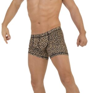 TABX04 – BOXER DE CABALLERO