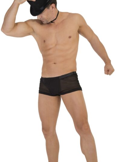 TABX09 – BOXER DE CABALLERO