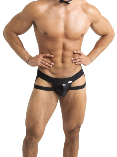 TA84 – TANGA DE CABALLERO