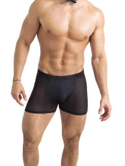 TABX03 – BOXER DE CABALLERO