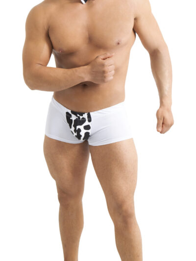TABX05 – BOXER DE CABALLERO