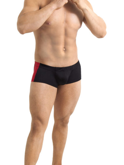 TABX10 – BOXER DE CABALLERO