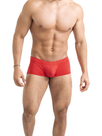 TABX11 – BOXER DE CABALLERO
