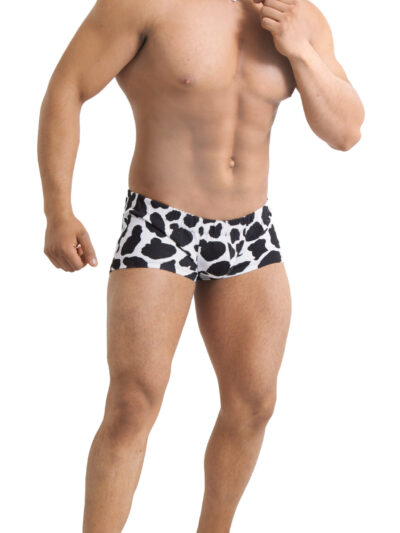 TABX20 – BOXER DE CABALLERO