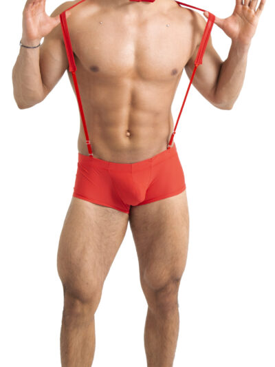 TABX28 – BOXER DE CABALLERO