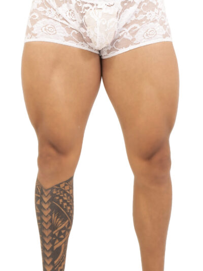 TABX30 – BOXER DE CABALLERO