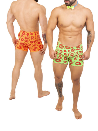 TABX37 – BOXER DE CABALLERO
