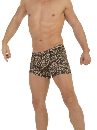 TABX04 – BOXER DE CABALLERO